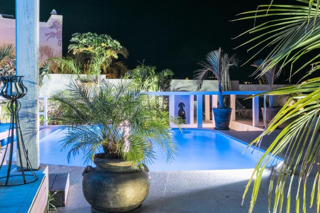 Villa Blue Lagoon Suite Apartment Lowlands Ngoại thất bức ảnh